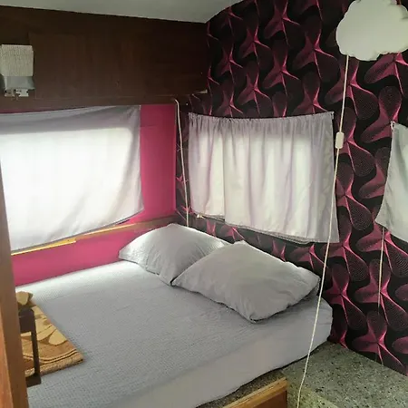 Oaza 3* Bela Crkva (Banat)