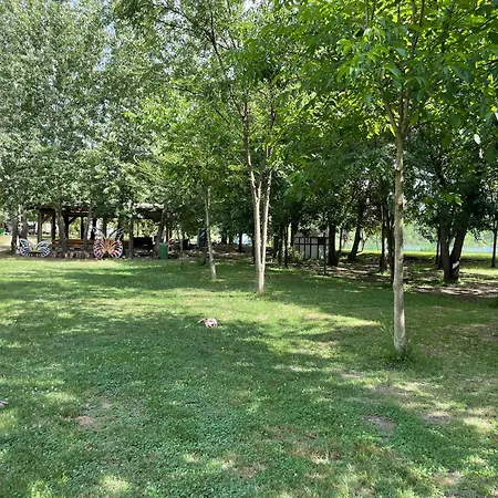 Camping Oaza Bela Crkva (Banat)