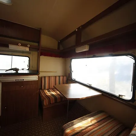 Oaza Camping Bela Crkva (Banat)